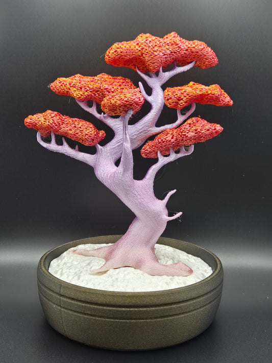 Magical Bonsai Trees